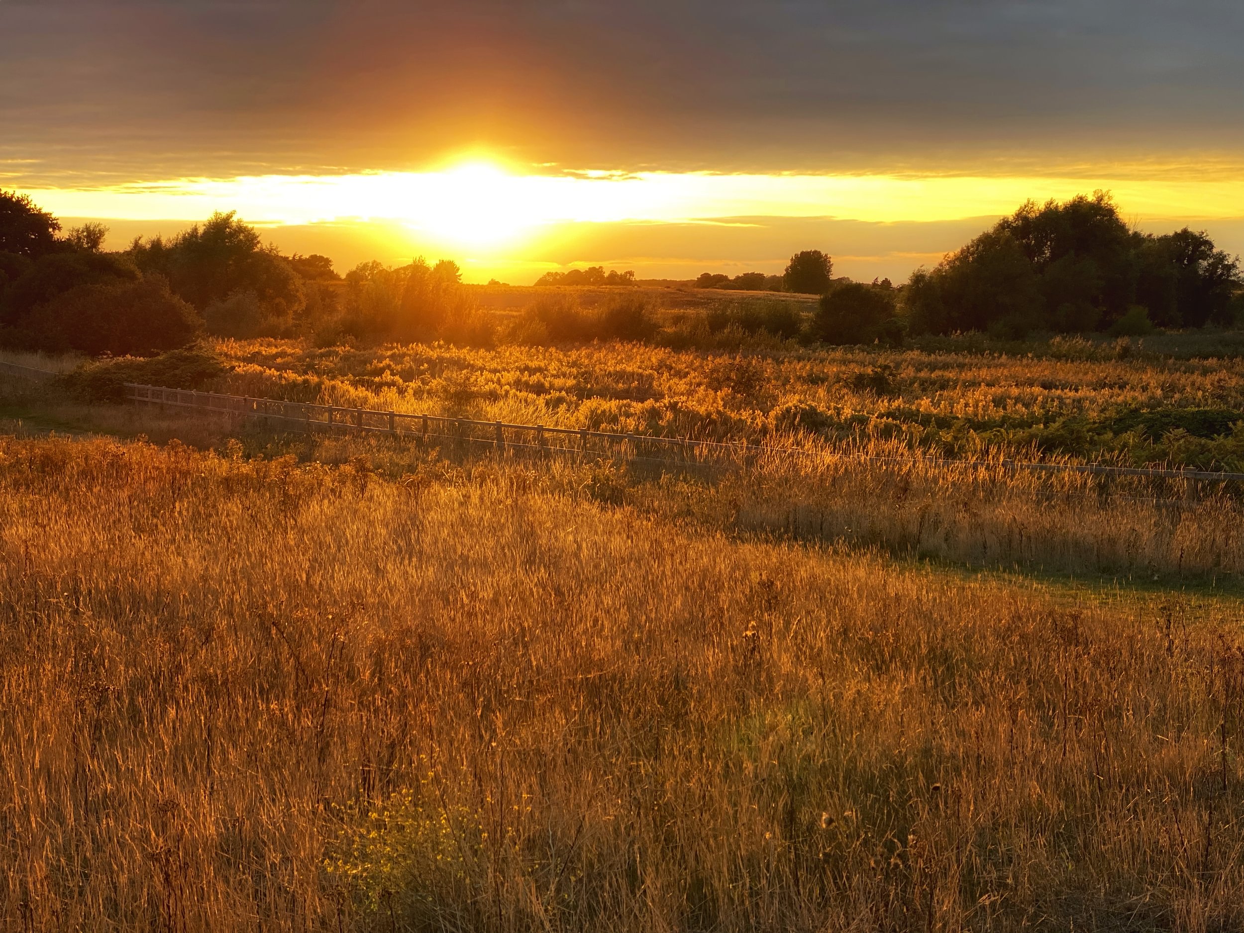 Aldhurst Farm at sunset in September 22 - Large (2)