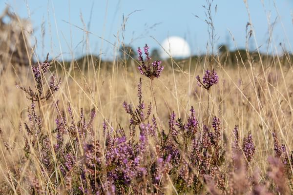 Andrew Hendry Photographer Studio Field9 - Small