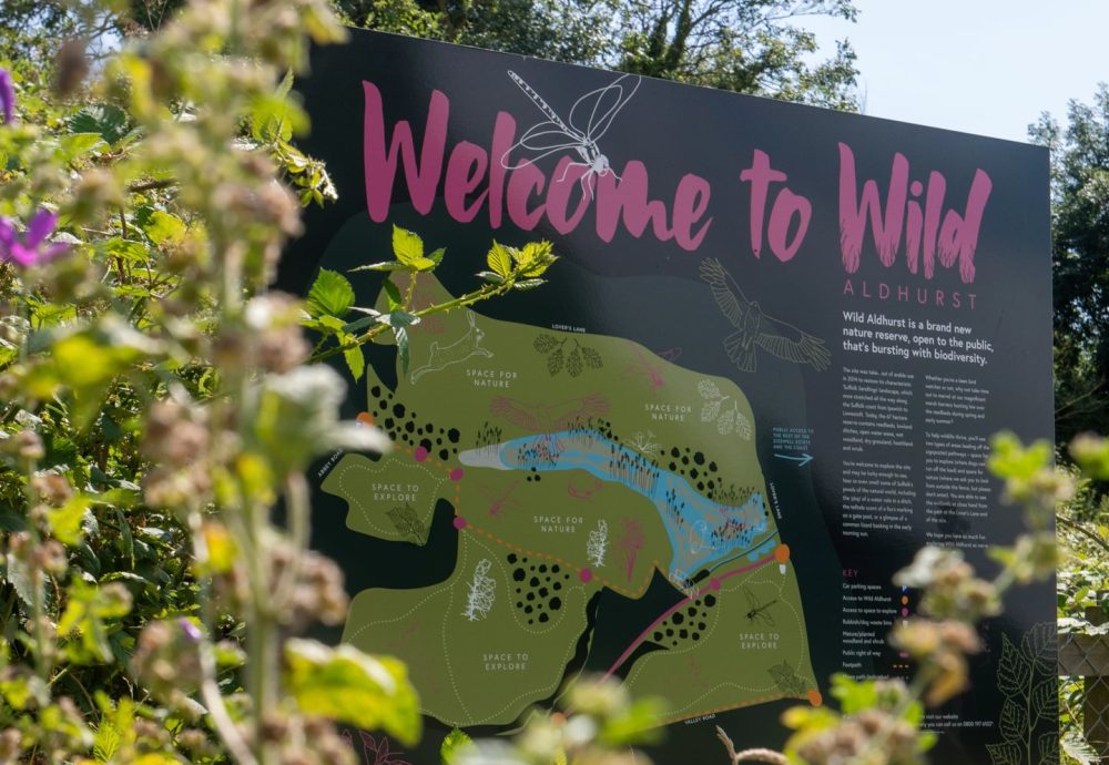 Wild Aldhurst near Sizewell C