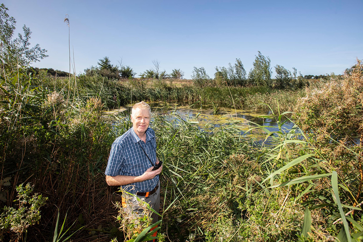 Wild Aldhurst near Sizewell C